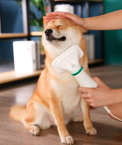 Cepillo Secador De Pelo Para Mascotas 2 En 1