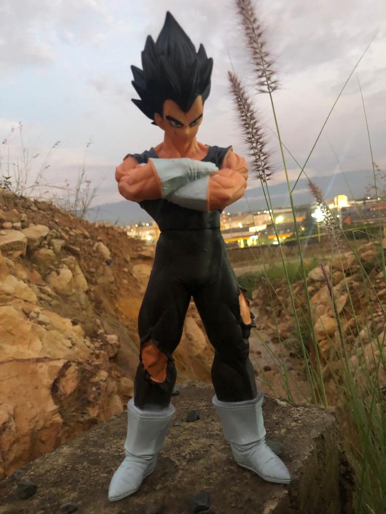 Muñecos De Dragon Ball Z Medida 30 cm