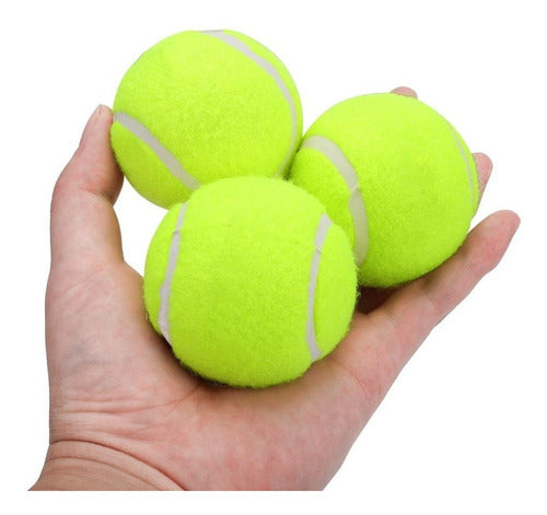 Pelotas X3 Und Para Tenis